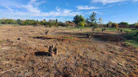 Foto 5 de Finca rústica en venda a Rm-b1, 181, La Arboleja,  Murcia Capital