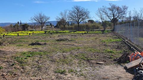 Foto 3 de Finca rústica en venda a Rm-b1, 181, La Arboleja,  Murcia Capital