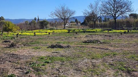 Foto 4 de Finca rústica en venda a Rm-b1, 181, La Arboleja,  Murcia Capital