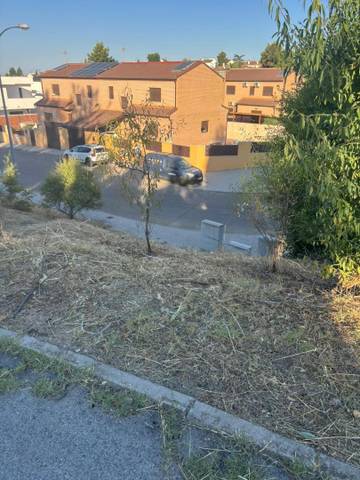 Terreno en Venta en Desconocido Sector el Beato, 25P en Olías del Rey