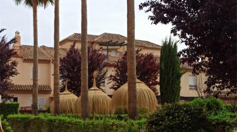 Photo 2 of Single-family semi-detached to rent in Avda. De los Ogíjares, Armilla