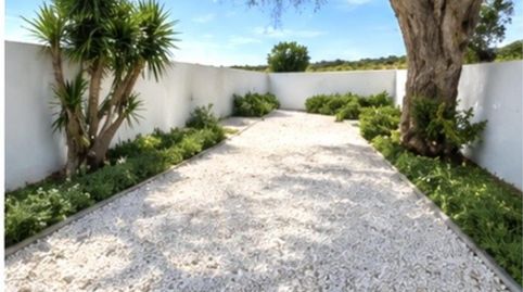 Casa o chalet en venta en Partida Marina, 1036a, La Marina, Elche / Elx - imagen 4 Foto 4 de Casa o chalet en venta en Partida Marina, 1036a, La Marina, Elche / Elx