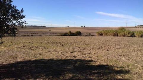 Photo 2 of House or chalet for sale in Pozoalbero, Jerez de la Frontera