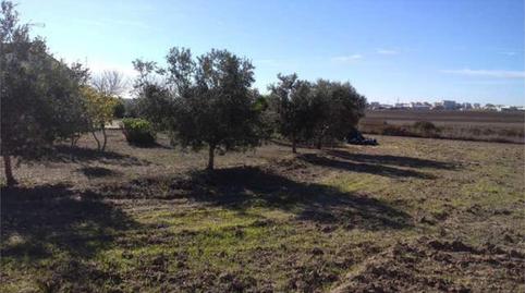 Photo 3 of House or chalet for sale in Pozoalbero, Jerez de la Frontera