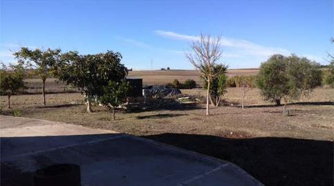 Photo 4 of House or chalet for sale in Pozoalbero, Jerez de la Frontera