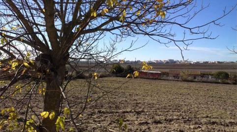 Photo 5 of House or chalet for sale in Pozoalbero, Jerez de la Frontera