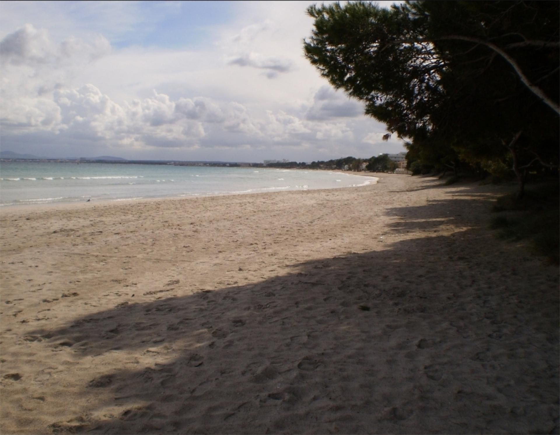 Piso de alquiler en Carrer de la Punta, 28, Port d'Alcúdia - Platja d'Alcúdia