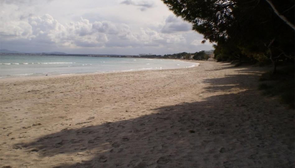 Piso de alquiler en Carrer de la Punta, 28, Port d'Alcúdia - Platja d'Alcúdia, Alcúdia - imagen 1 Foto 1 de Piso de alquiler en Carrer de la Punta, 28, Port d'Alcúdia - Platja d'Alcúdia, Alcúdia