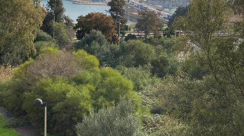 Pis de lloguer a Camino Camino de la Ermita, 7, La Reconquista - El Rosario, Algeciras - imatge 3 Foto 3 de Pis de lloguer a Camino Camino de la Ermita, 7, La Reconquista - El Rosario, Algeciras