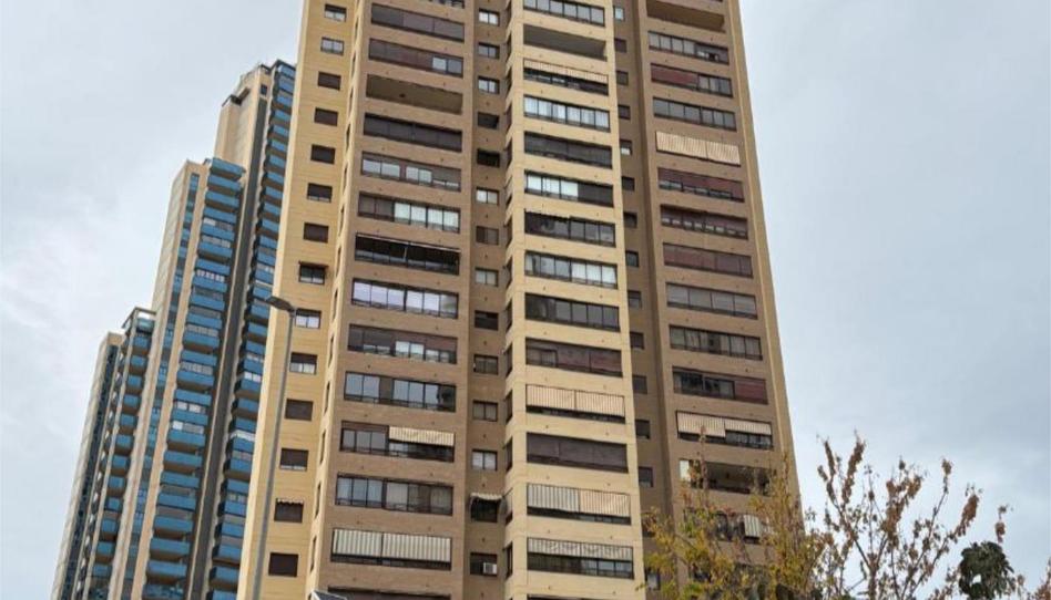 Pis de lloguer a Avenida del Municipi, 12, Juzgados - Plaza de Toros, Benidorm - imatge 1 Foto 1 de Pis de lloguer a Avenida del Municipi, 12, Juzgados - Plaza de Toros, Benidorm