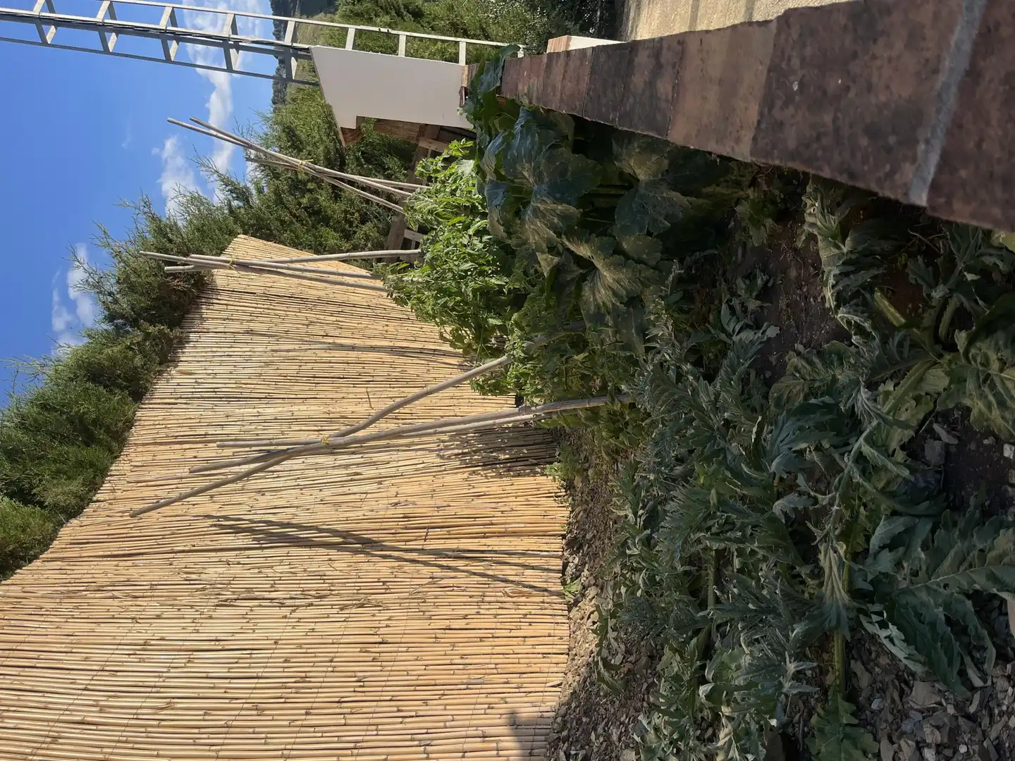 Finca rústica de alquiler en Diseminado Diseminados, 21, Benamargosa Jardín de Finca rústica de alquiler en Benamargosa con Aire acondicionado, Calefacción y Jardín privado