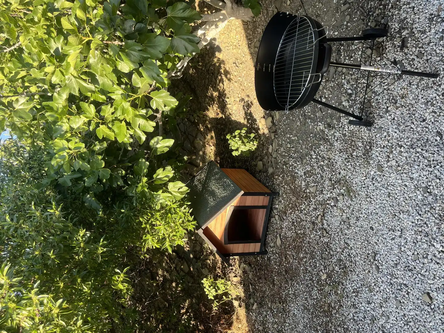 Finca rústica de alquiler en Diseminado Diseminados, 21, Benamargosa Jardín de Finca rústica de alquiler en Benamargosa con Aire acondicionado, Calefacción y Jardín privado