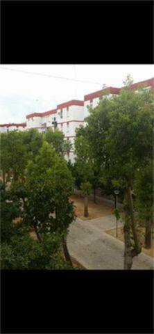 Piso en Alquiler en Pino Montano - Consolación