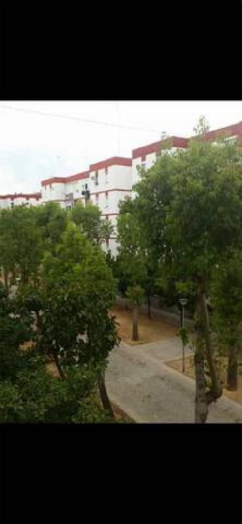 Flat to rent in Pino Montano - Consolación