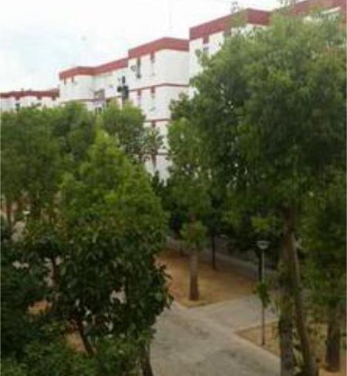 Flat to rent in Pino Montano - Consolación, Sevilla Capital - image 1 Photo 1 of Flat to rent in Pino Montano - Consolación, Sevilla Capital