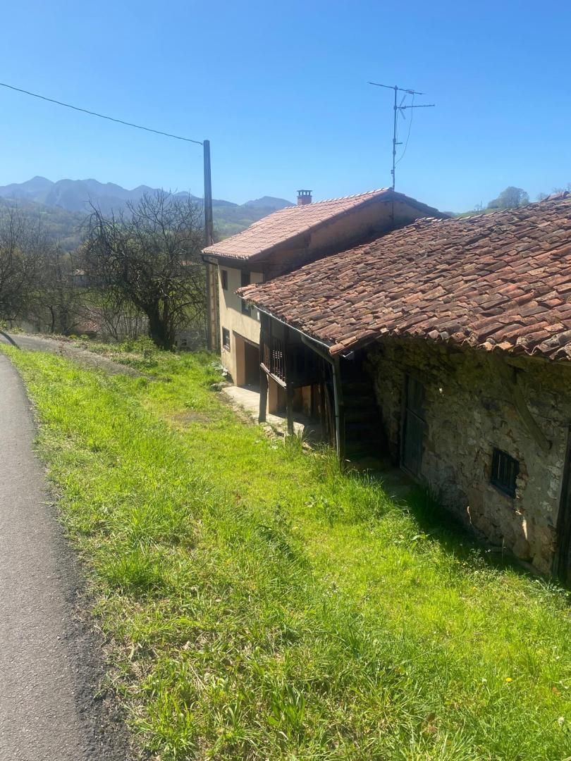 Vista exterior de Casa o chalet en venta en Parres con Jardín privado