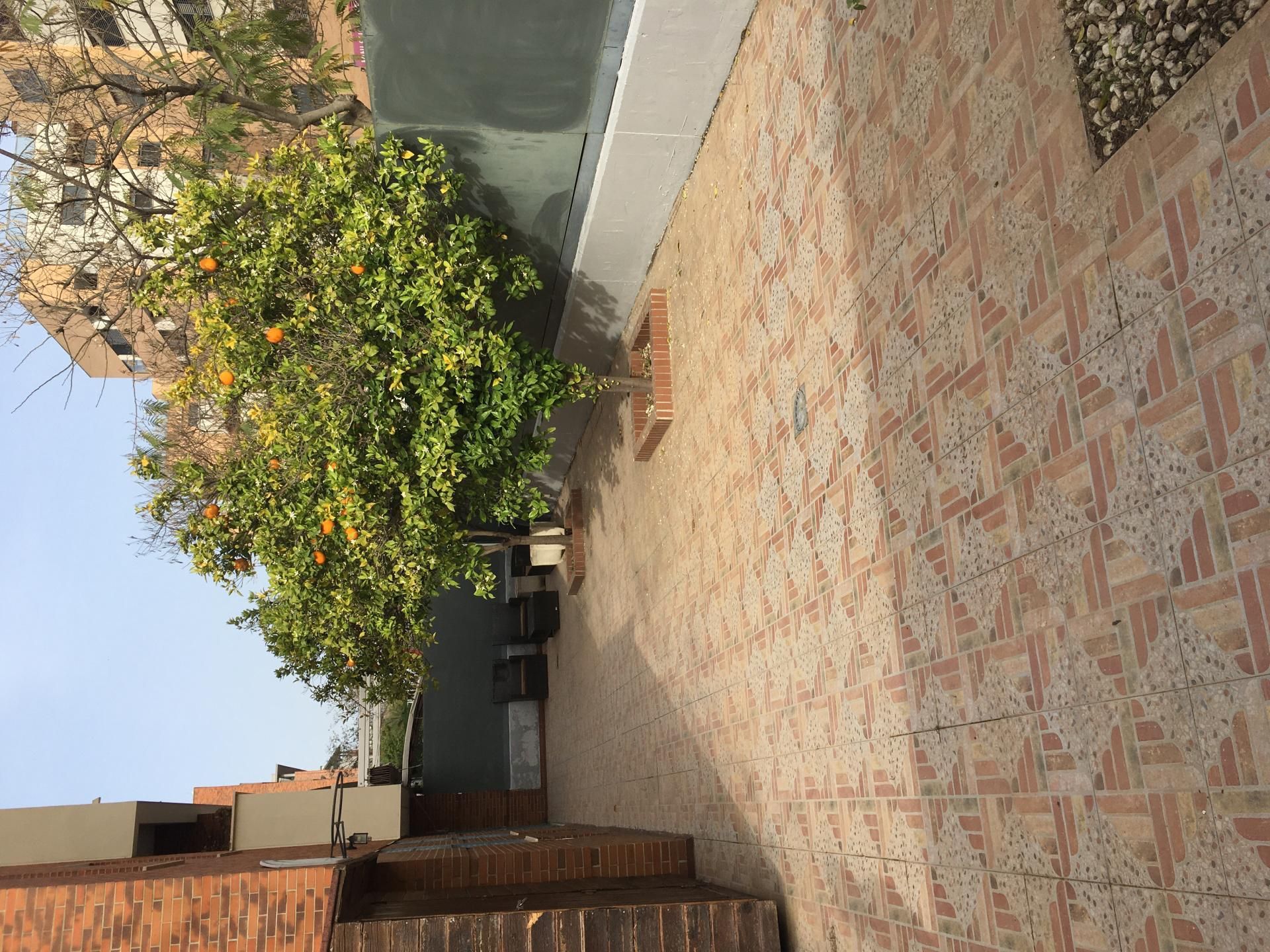 Terraza de Piso de alquiler en Mairena del Aljarafe con Aire acondicionado y Piscina