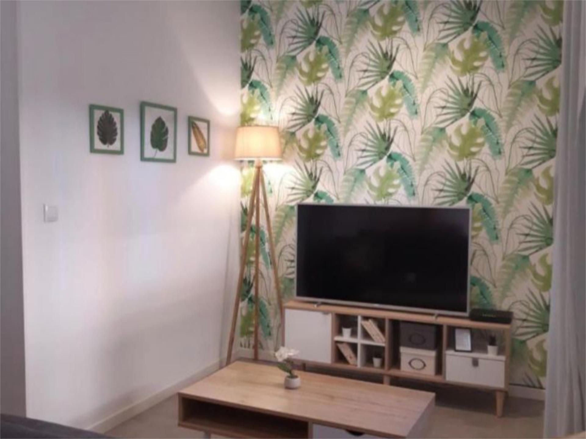 Sala d'estar de Pis de lloguer en Alicante / Alacant amb Aire condicionat, Calefacció i Moblat