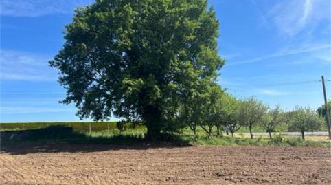 Single-family semi-detached for sale in Guntín, Lugo - image 4 Photo 4 of Single-family semi-detached for sale in Guntín, Lugo