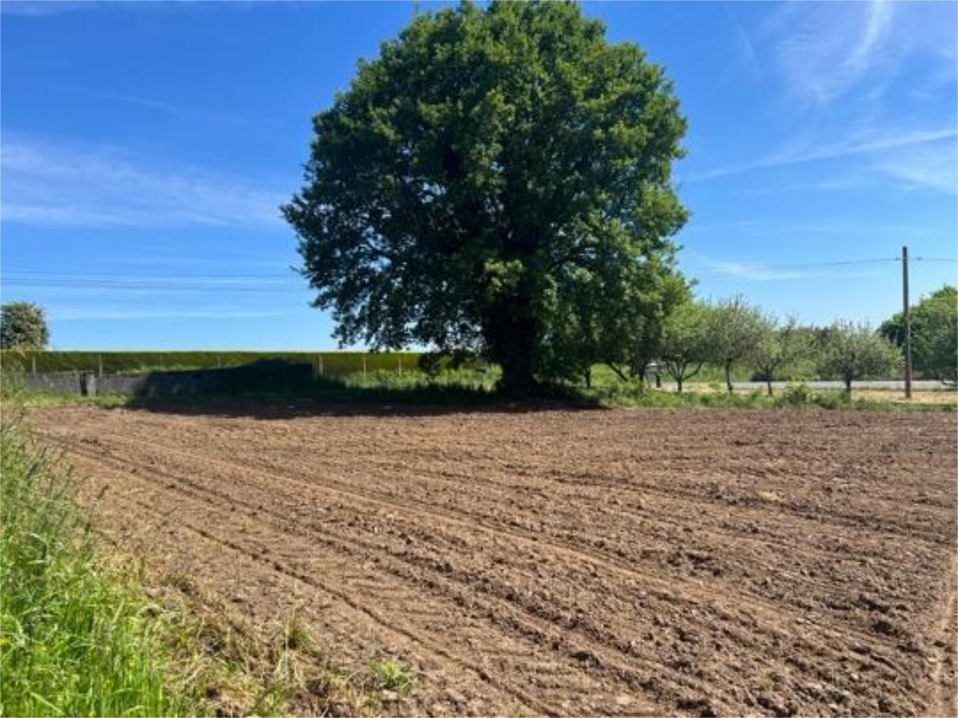 Casa adosada en venda en Guntín amb Calefacció i Moblat