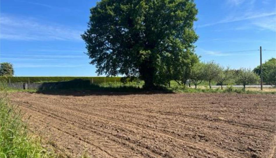 Single-family semi-detached for sale in Guntín, Lugo - image 1 Photo 1 of Single-family semi-detached for sale in Guntín, Lugo