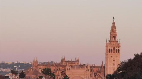 Foto 2 de Piso en venta en Avenida de la Buhaira, 6, La Calzada - La Florida,  Sevilla Capital