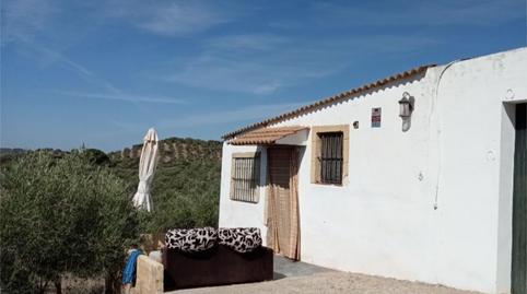 House or chalet to rent in Lugar Hacienda Nueva, 8, Lora del Río, Sevilla - image 4 Photo 4 of House or chalet to rent in Lugar Hacienda Nueva, 8, Lora del Río, Sevilla