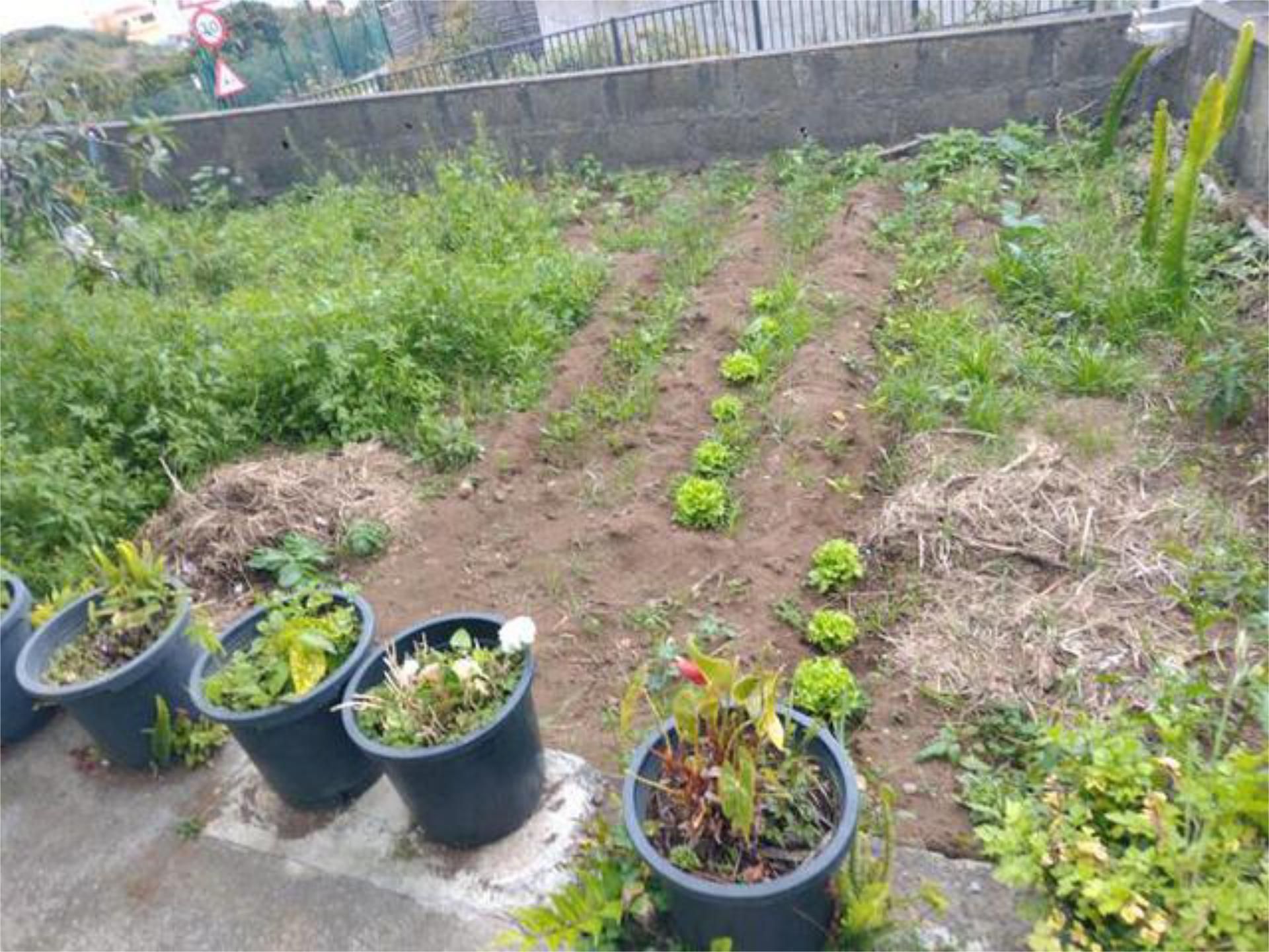 House or chalet to rent in Villa de Mazo  with Furnished