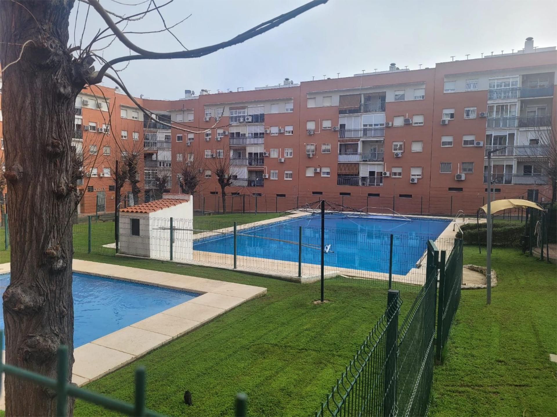Swimming pool of Flat for sale in Montequinto  with Air Conditioner, Terrace and Swimming Pool