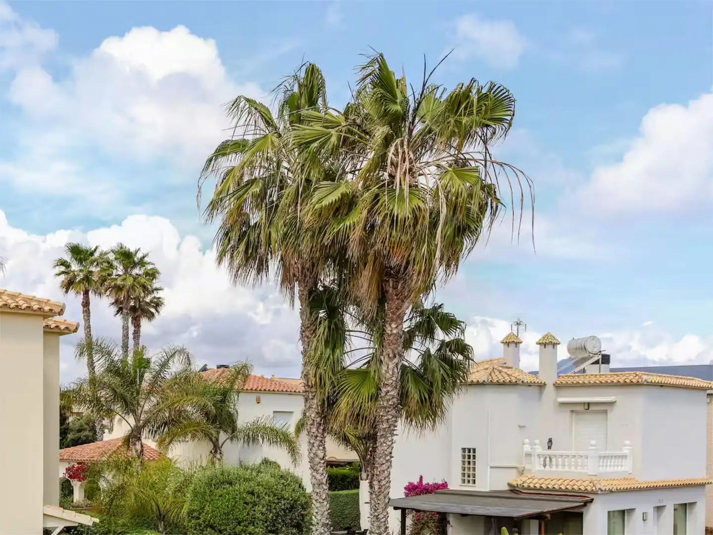 Casa adosada en venta en Avinguda de Gaudi, 9, Oliva Nova Vista exterior de Casa adosada en venta en Oliva con Aire acondicionado, Terraza y Piscina