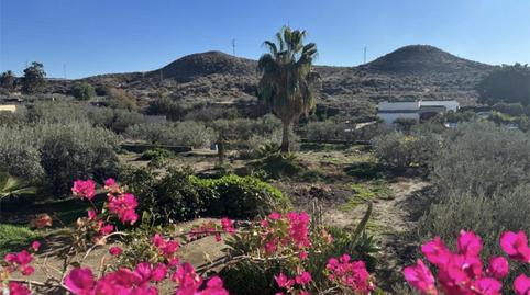 Foto 5 de Finca rústica en venda a Camino Norieta, 4, Pechina, Almería