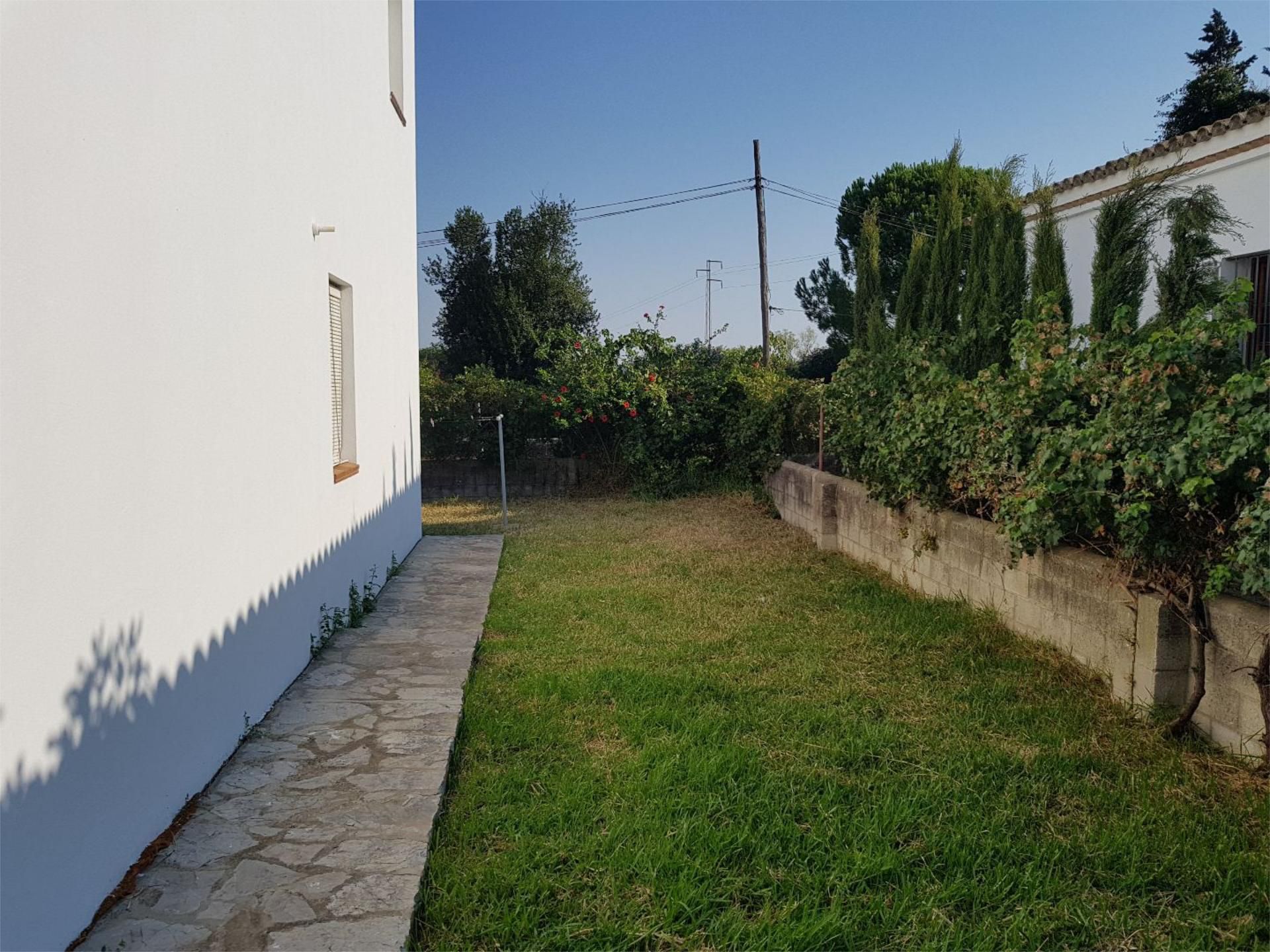 Jardí de Casa o xalet en venda en Barbate amb Aire condicionat, Terrassa i Piscina