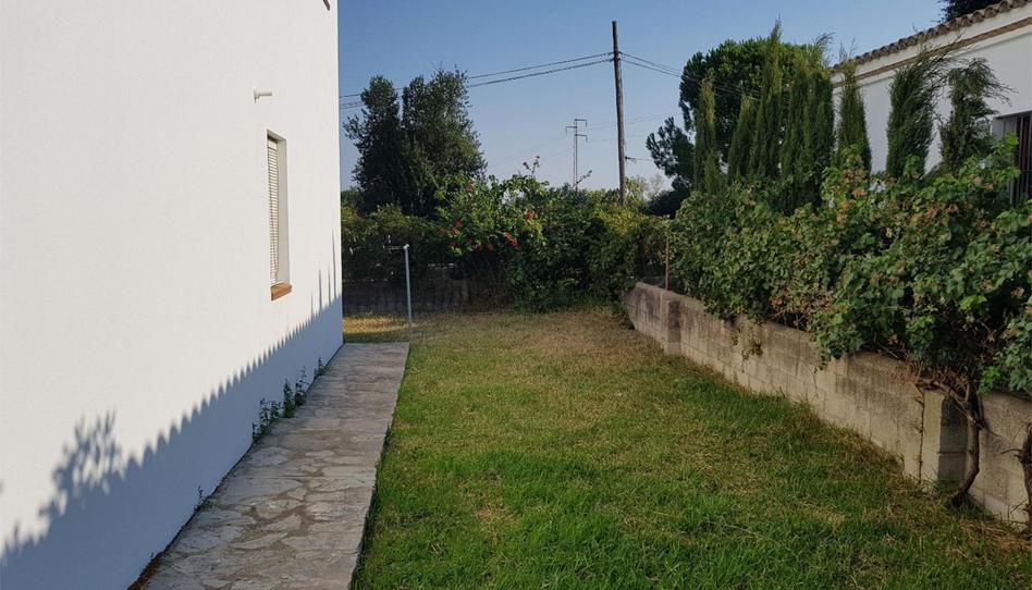 Photo 1 of House or chalet to rent in Pago Ribera de la Oliva, 87, Barbate ciudad, Barbate