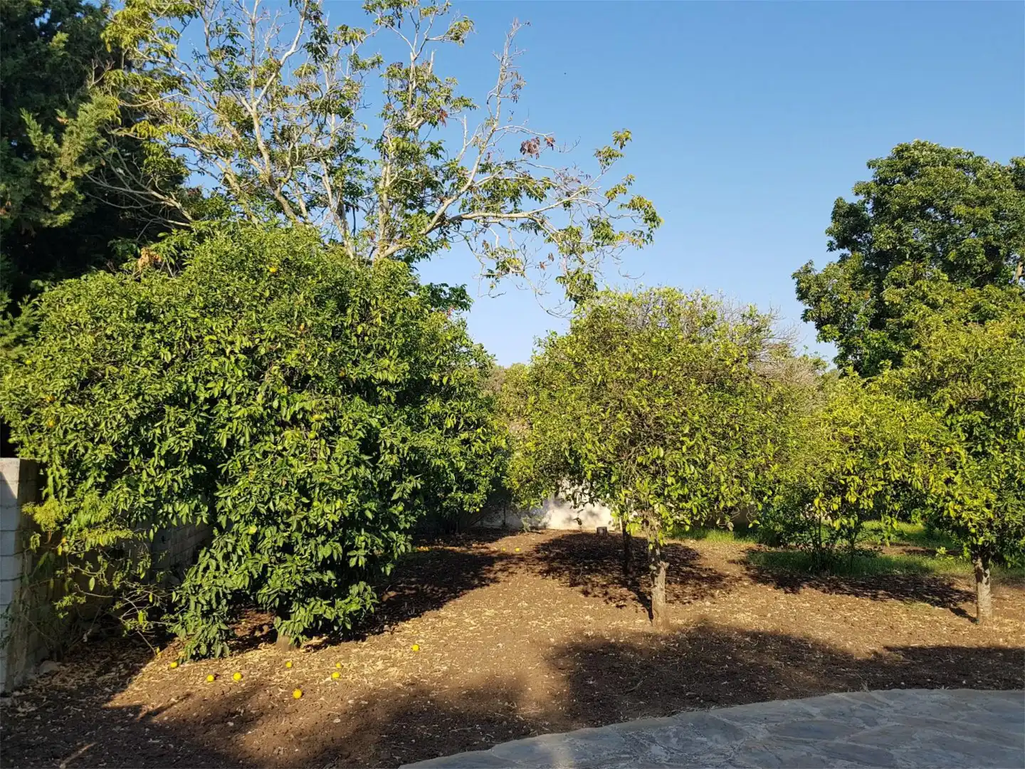 Casa o xalet de lloguer a Pago Ribera de la Oliva, 87, Barbate ciudad Casa o xalet de lloguer en Barbate amb Aire condicionat, Calefacció i Jardí privat