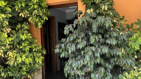 Foto 4 de Finca rústica en venda a Carretera C0-220, 87, Rute, Córdoba