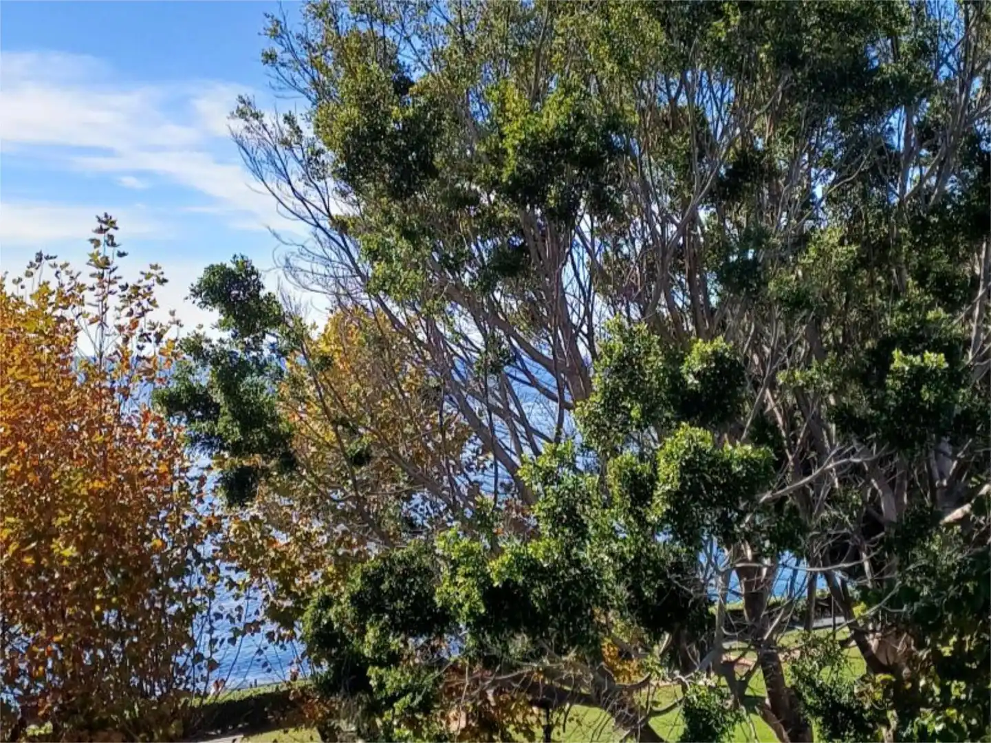 Vista exterior de Pis en venda en Estepona amb Aire condicionat