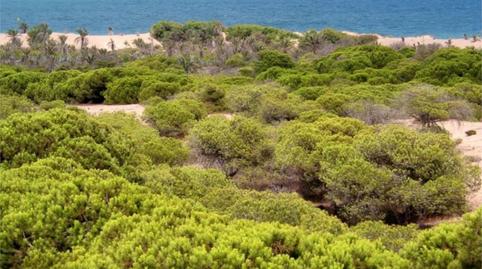 Flat for sale in Avenida del Puerto, 35, Puerto Deportivo, Guardamar del Segura - image 3 Photo 3 of Flat for sale in Avenida del Puerto, 35, Puerto Deportivo, Guardamar del Segura