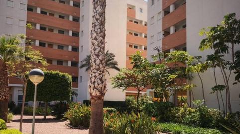 Flat for sale in Avenida del Puerto, 35, Puerto Deportivo, Guardamar del Segura - image 5 Photo 5 of Flat for sale in Avenida del Puerto, 35, Puerto Deportivo, Guardamar del Segura