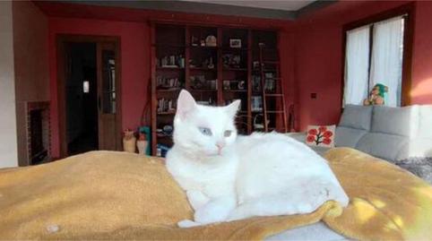 Foto 2 de Casa adosada en venda a Bertizarana, Navarra