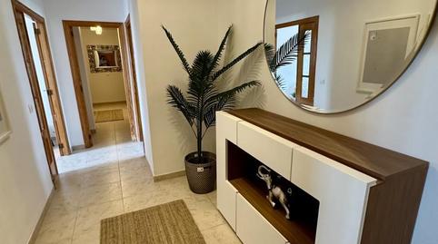 Foto 5 de Pis de lloguer a Carrer Mateu Monserrat, 6, Llucmajor pueblo, Llucmajor