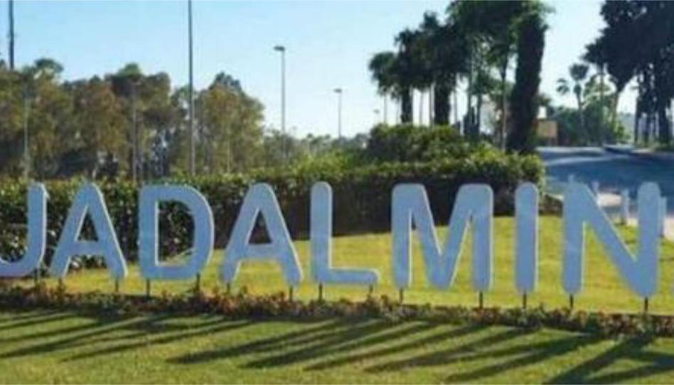 Foto 1 de Estudi de lloguer a Guadalmina Alta, Marbella