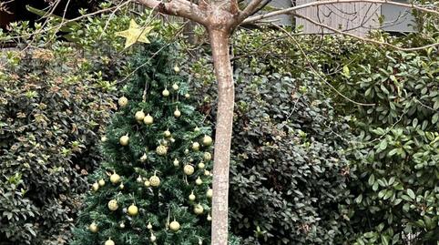 Pis de lloguer a Carrer Joan Puig Mestre, 8, La Plana, Sitges - imatge 2 Foto 2 de Pis de lloguer a Carrer Joan Puig Mestre, 8, La Plana, Sitges