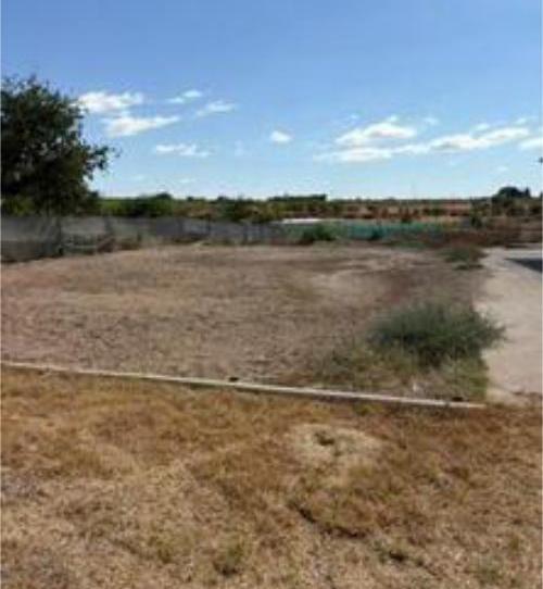 Photo 1 of Single-family semi-detached to rent in Sanlúcar la Mayor, Sevilla