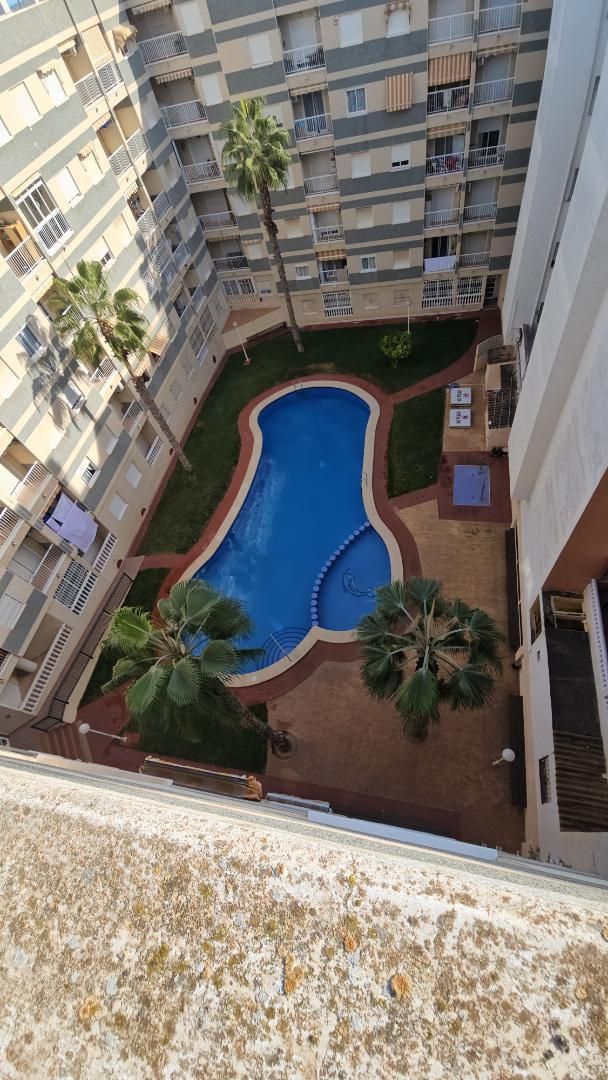 Piscina de Pis en venda en Torrevieja amb Aire condicionat, Calefacció i Jardí privat