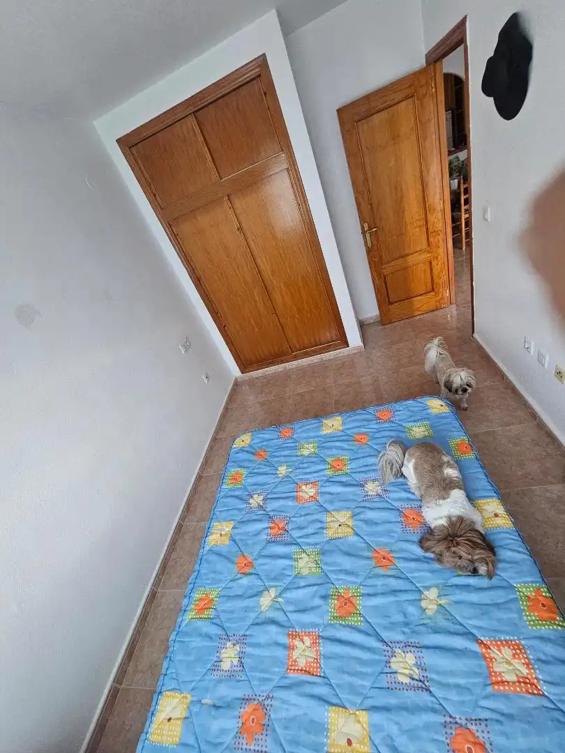 Flat for sale in Calle los Gases, 22, Avenida Habaneras - Curva de Palangre Bedroom of Flat for sale in Torrevieja with Air Conditioner, Heating and Private garden