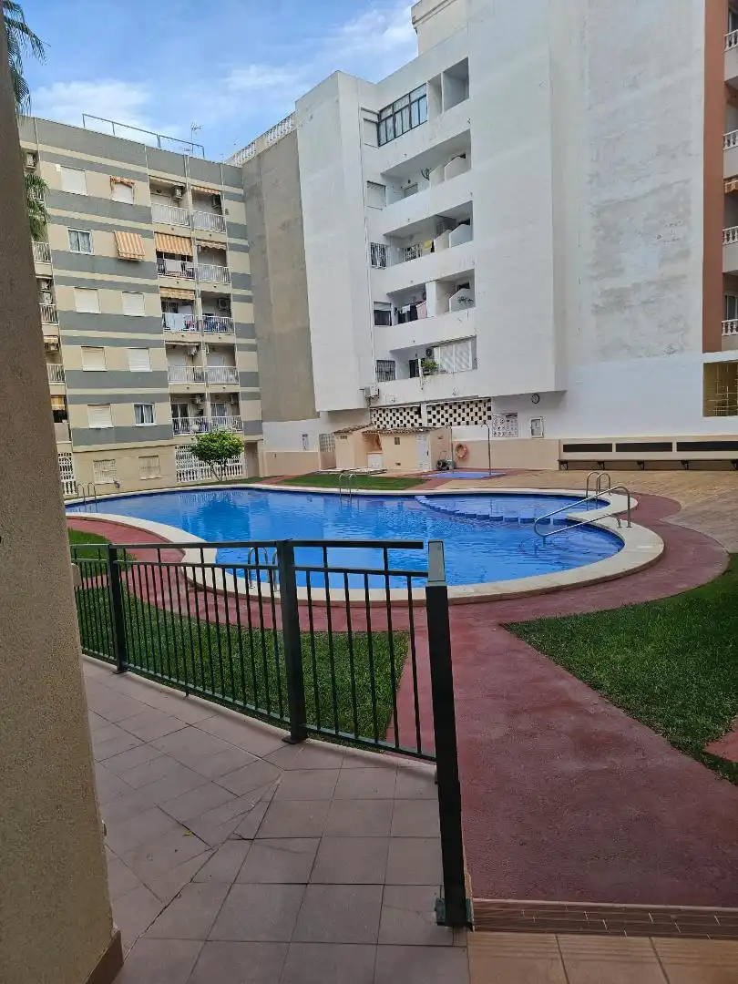 Flat for sale in Calle los Gases, 22, Avenida Habaneras - Curva de Palangre Swimming pool of Flat for sale in Torrevieja with Air Conditioner, Heating and Private garden