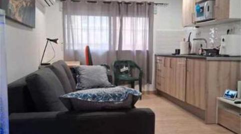 Study to rent in Dos Hermanas - Nuevo San Andrés, Málaga Capital - image 3 Photo 3 of Study to rent in Dos Hermanas - Nuevo San Andrés, Málaga Capital