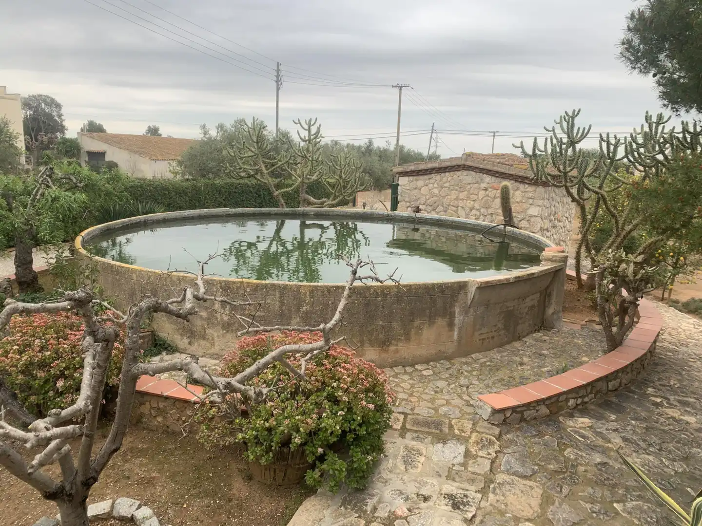Piscina de Casa o xalet en venda en Reus
