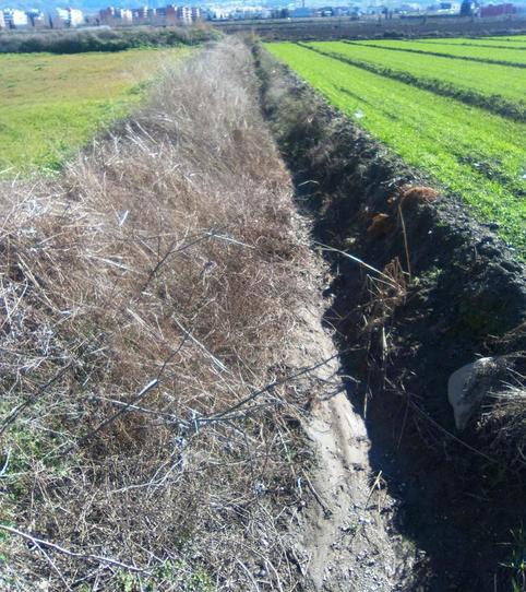 Finca rústica en venta en Vial Camino, 21, Poniente, Armilla - imagen 2 Foto 2 de Finca rústica en venta en Vial Camino, 21, Poniente, Armilla