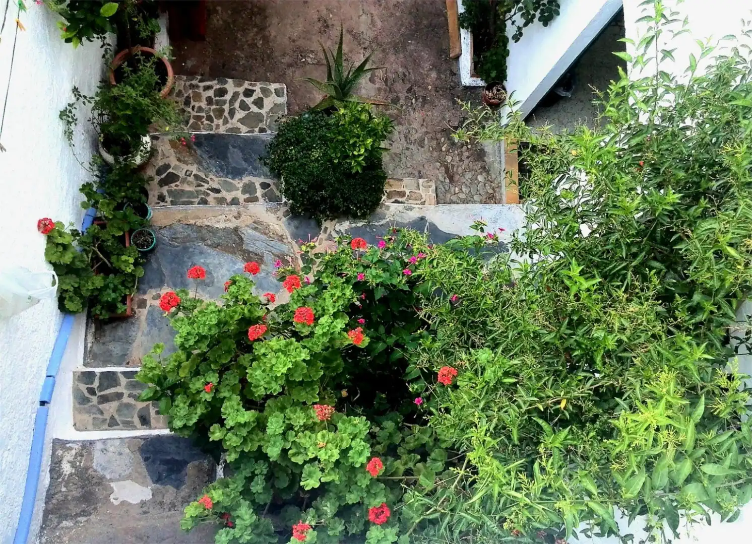 Jardí de Finca rústica en venda en Aracena amb Terrassa i Balcó